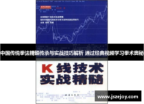 中国传统拳法精髓传承与实战技巧解析 通过经典视频学习拳术奥秘